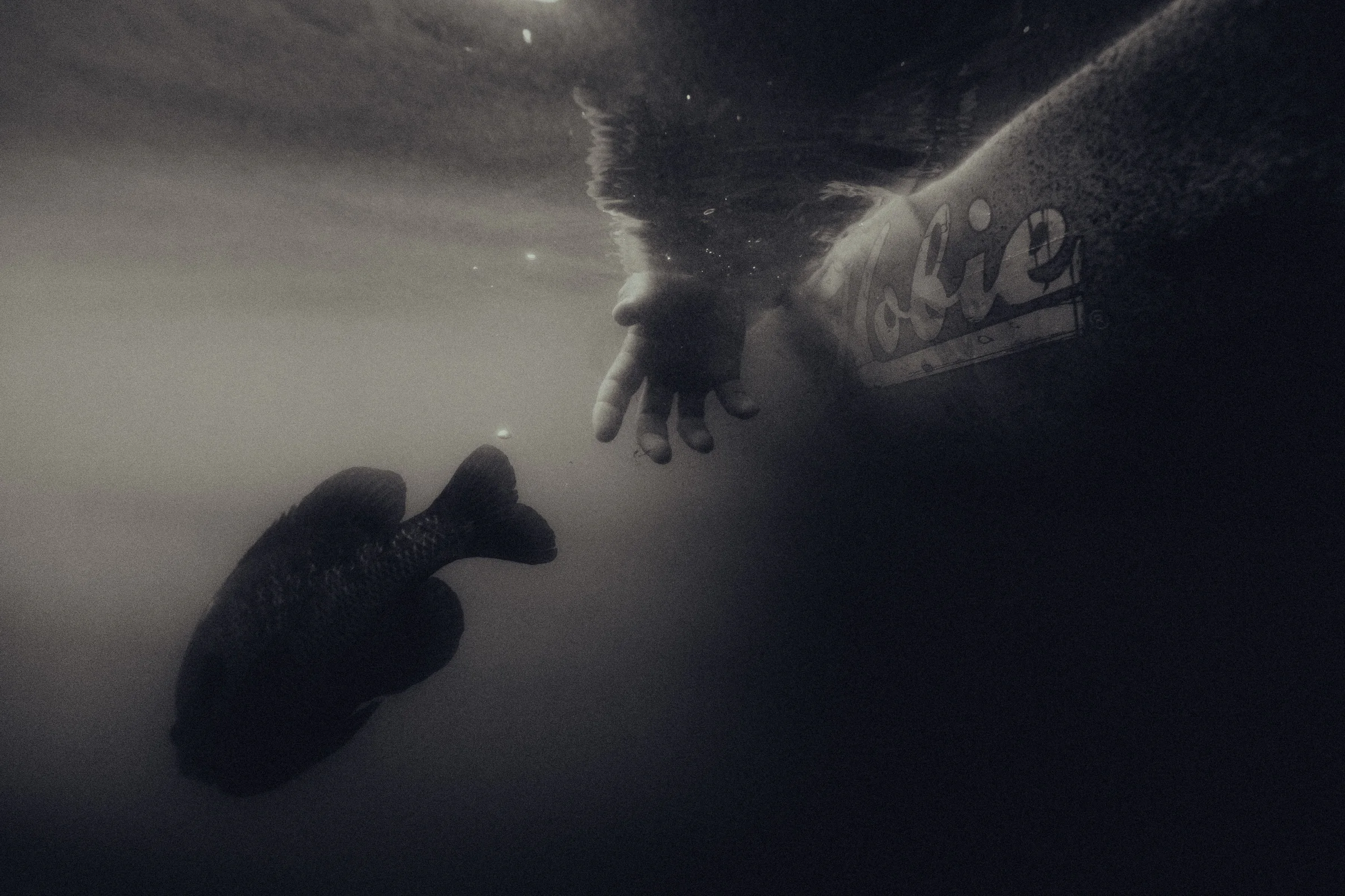 Black and white outdoor brand photography made underwater for Hobie