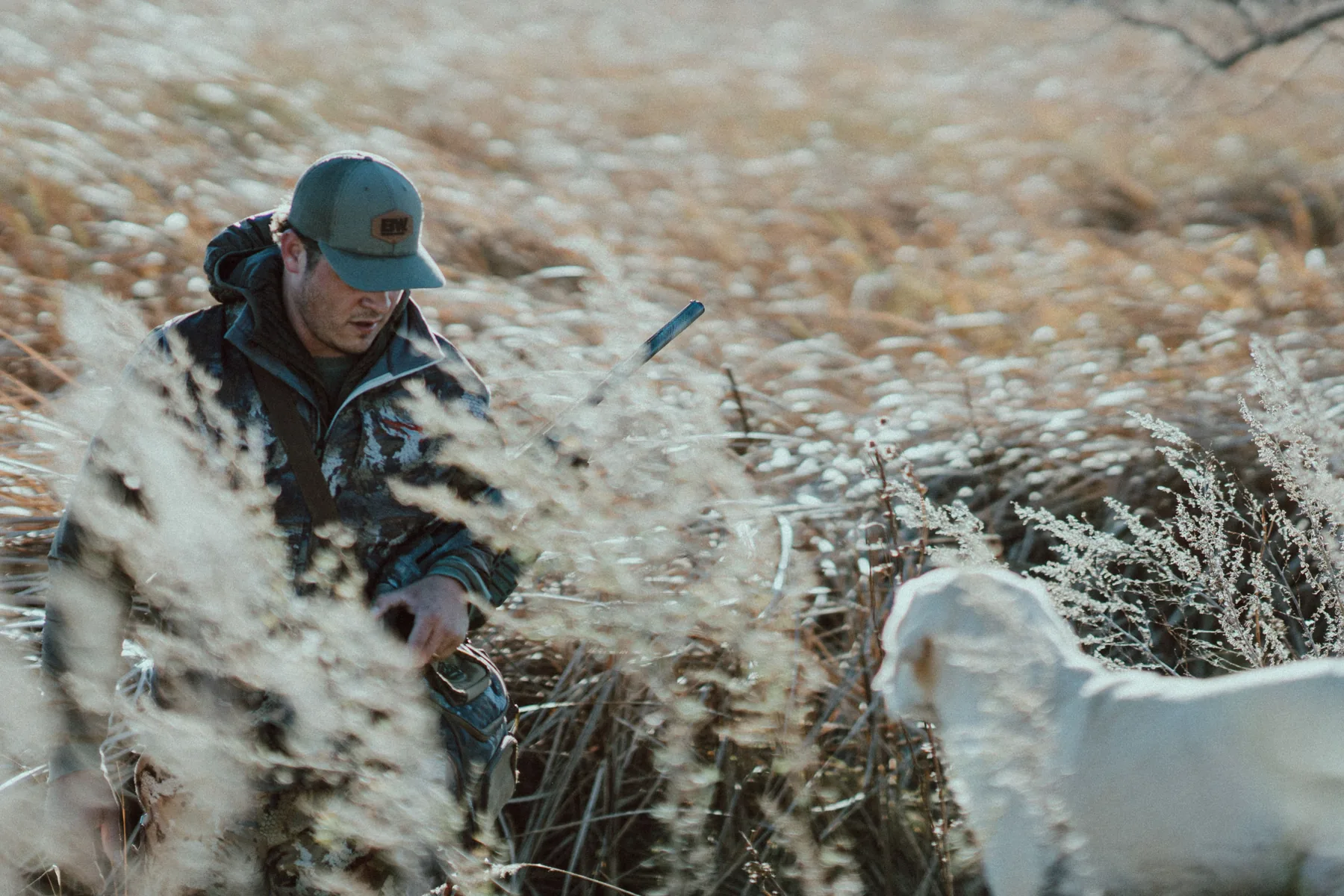 Hunter moving through sunlit field grass with a retriever nearby