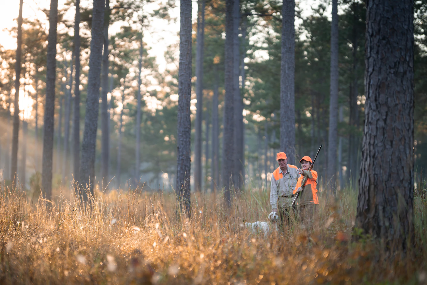 Two hunters and a dog among pine trees in warm morning light